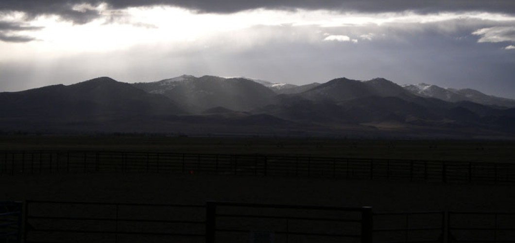 Montana (45)